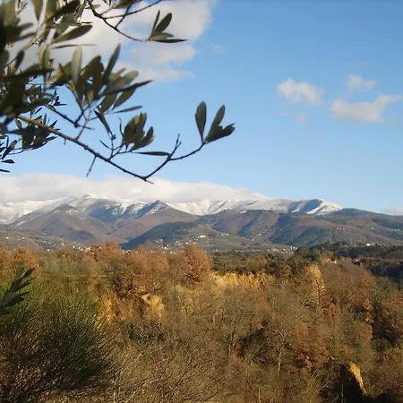 Tenuta Tornia Reggello